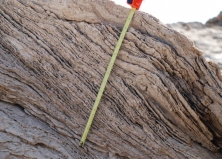 Разновидности травертина
